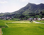 整備された中山間地域の水田（旧富山町）／（クリックすると写真が拡大します）