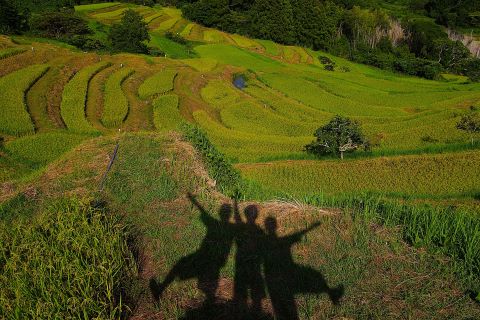 佳作棚田にての画像