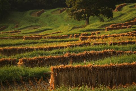 佳作秋のはじまりの画像