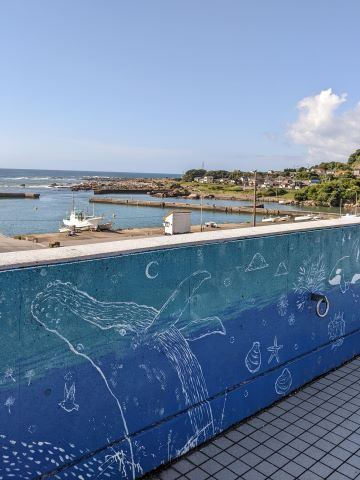 道の駅鴨川オーシャンパーク賞漁港を望むの画像