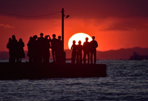 道の駅とみうら枇杷倶楽部賞今日の夕陽よさようならの画像