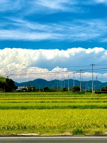 道の駅三芳村鄙の里賞雨待ち雲の画像