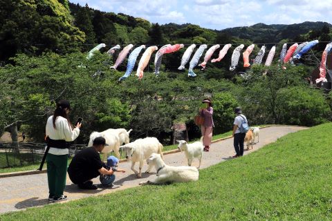 道の駅和田浦WA・O！賞ふれあいの画像