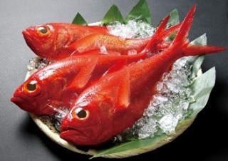 千葉ブランド水産物「銚子つりきんめ」