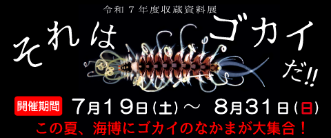 収蔵資料展のバナー画像です。