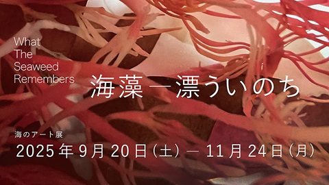 海のアート展バナー