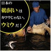 観光体験できる笛吹川鵜飼の画像