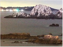国指定天然記念物「壁島ウ渡来地」の画像