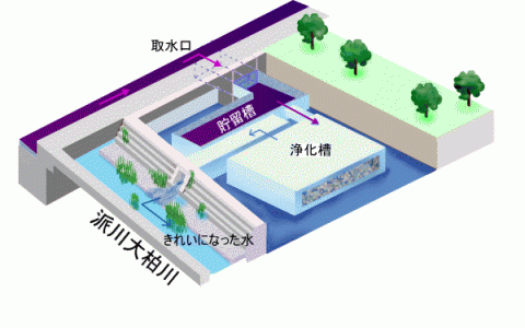 派川大柏川浄化施設模式図