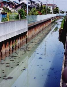 河川の水質（派川大柏川）