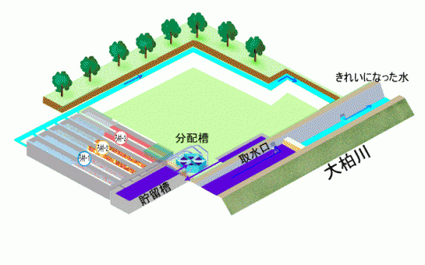 大柏川浄化施設模式図