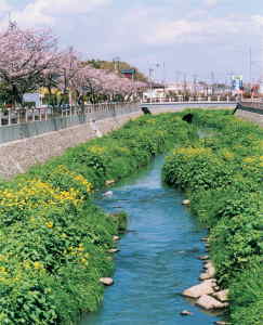 環境への配慮（大柏川上流））