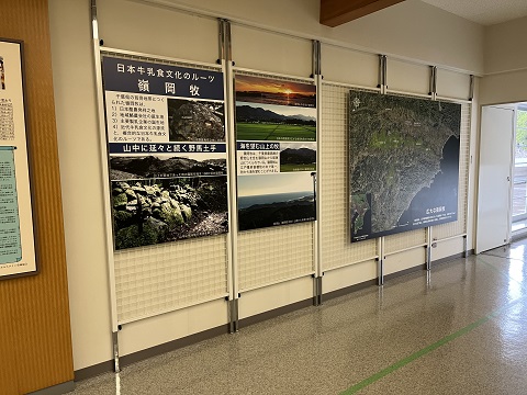 嶺岡牧