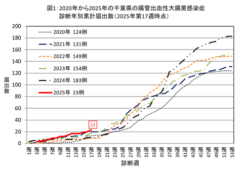 図1：2020年から2025年の千葉県の腸管出血性大腸菌感染症　診断年別累計届出数（2025年第17週時点）
