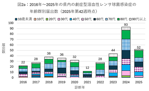 図2a：2016年から2025年の県内の劇症型溶血性レンサ球菌感染症の年齢群別届出数（2025年第42週時点）