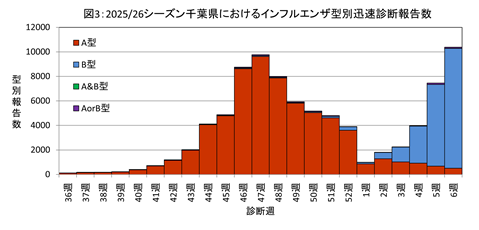 図3、2025年2026年シーズンの千葉県におけるインフルエンザ型別迅速診断報告数のグラフ