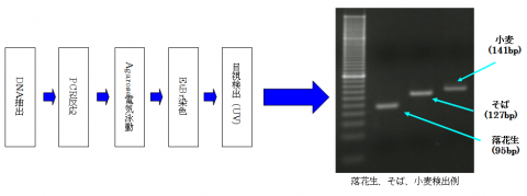 PCR法