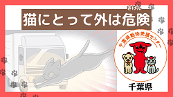 猫にとって外は危険