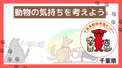 動物の気持ちを考えよう