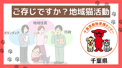 ご存じですか？地域猫活動