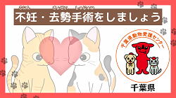 不妊・去勢手術をしましょう