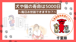 犬や猫の寿命は５０００日