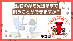 動物の命を見送るまで飼うことができますか？