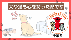 犬や猫も心を持った命です