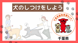 犬のしつけをしよう