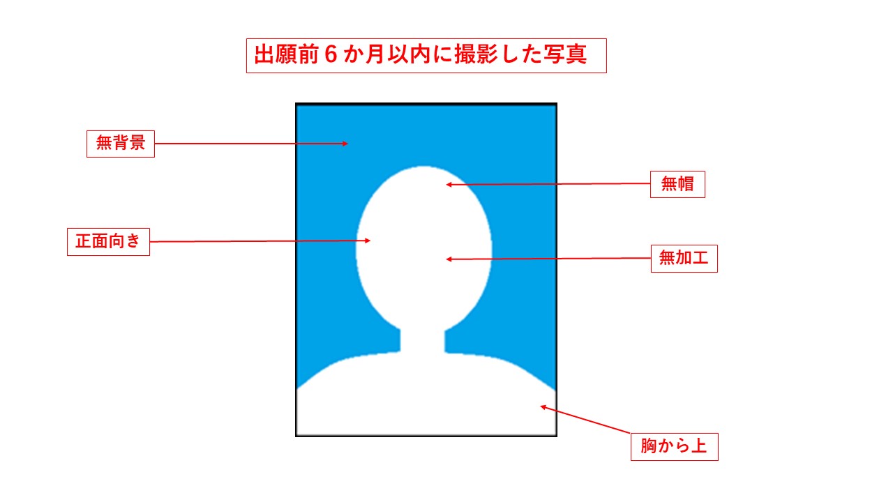 見本写真