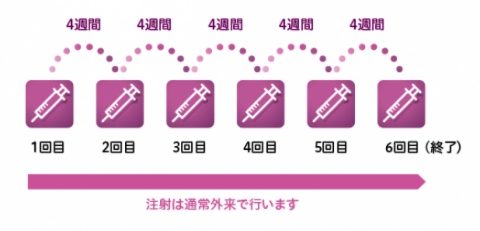 投与回数 投与回数