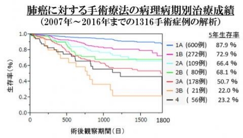 治療成績のグラフ