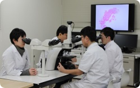 顕微鏡検査の様子