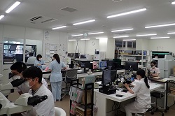病理検査の様子