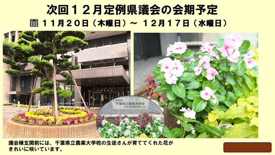 次回会期日程の案内