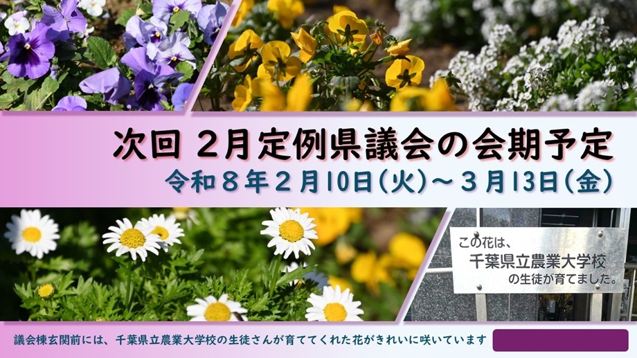 議会棟前に咲いている花の画像