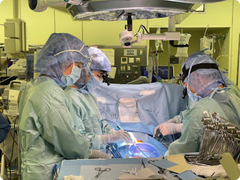 手術の様子