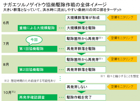 ナガエツルノゲイトウ協働駆除作戦の全体イメージ