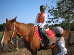 乗馬体験の写真