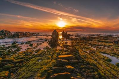 入賞　大日向　圭一　さん　「根本海岸」（南房総市）