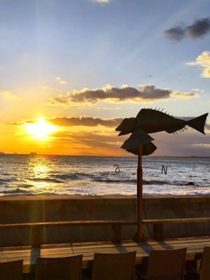 優秀賞　富津市観光協会　「ザ・フィッシュ カフェテラス」（富津市）