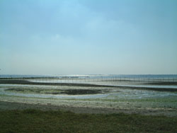 船橋側（ふなばし三番瀬海浜公園）