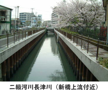 二級河川長津川（新橋上流付近）の画像