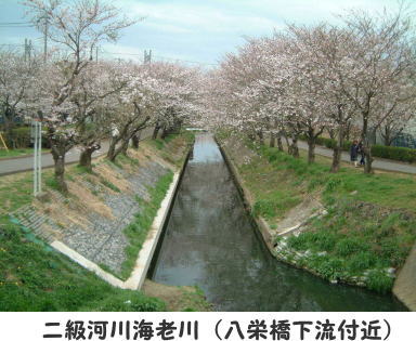 二級河川海老川（八栄橋下流付近）の画像