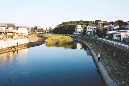 椎津川写真