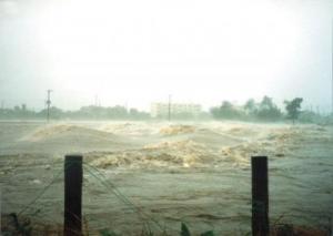 平成8年9月台風17号の洪水（市原市出津付近）の画像