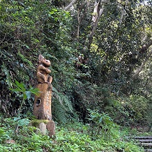 野鳥の森の木彫りの像の写真