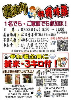 稲刈り収穫体験のイベントチラシ