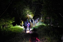 夜の大房岬を探検している写真