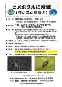 ヒメボタルに愛隊（夜の森の観察会）イベントのチラシ